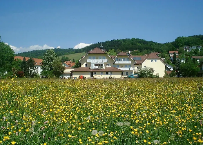 Koller Ringelai