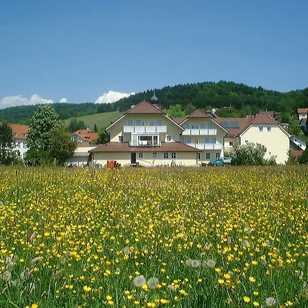 Koller Ringelai