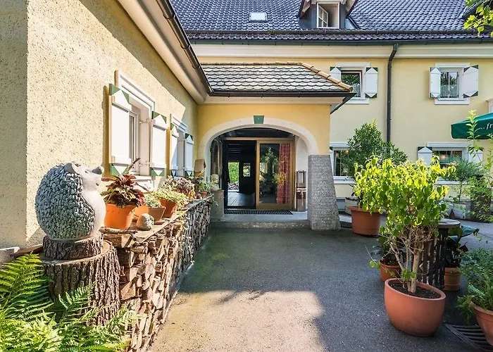 Otel Koller Ringelai