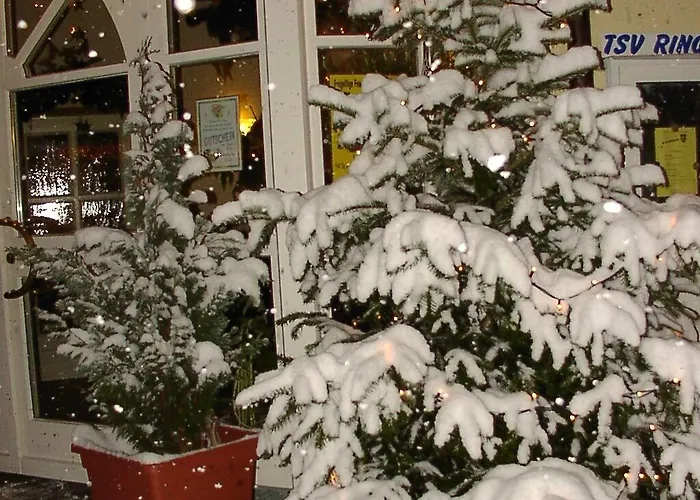 Otel Koller